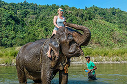 Rezerwat słoni nieopodal Thandwe
