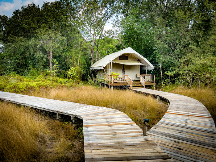 Wycieczka do Kambodży: Cardamom Tented Camp