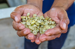 Wycieczka do Laosu: tu kawa i bagietka to codzienność